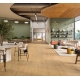 1744545 DĄB ATMOSPHERE NATURALNY /MODULAR ONE/ AC4