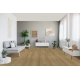 1748182 HICKORY /BASIC 400/ AC4