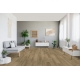 1748183 DĄB STUDIOLINE BEIGE /BASIC 400/ AC4