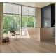 1748186 DĄB STUDIOLINE MACCHIATO /BASIC 600/ AC4