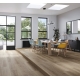 1748186 DĄB STUDIOLINE MACCHIATO /BASIC 600/ AC4