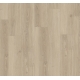 1748187 DĄB STUDIOLINE PURE /BASIC 600/ AC4