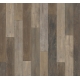 1748706 SHUFFLEWOOD WILD /TRENDTIME 1/ AC4