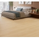 1748729 DĄB ARTEMIS NATURALNY /MODULAR ONE XL/ AC4