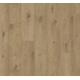 1748791 DĄB EVERGLADE NATURALNY /TRENDTIME 6/ AC5