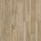 20226 ENGLISH WALNUT
