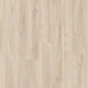 22210 BLACKJACK OAK