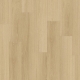 22219 GLYDE OAK