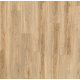 22220 BLACKJACK OAK