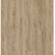22231 MIDLAND OAK