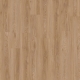22450 BLACKJACK OAK