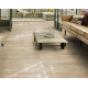 54265 COUNTRY OAK