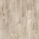 54285 COUNTRY OAK