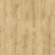 87372 GALWAY OAK