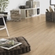 Panele Winylowe Starfloor Click 55 - BRUSHED PINE - NATURAL