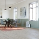 22210 BLACKJACK OAK