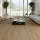 22450 BLACKJACK OAK
