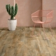 24958 COUNTRY OAK