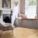 87372 GALWAY OAK