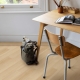 22219 GLYDE OAK