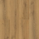 DĄB QUITO /AQUATUS SPC