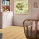 22220 BLACKJACK OAK