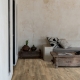 54852 COUNTRY OAK