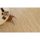DĄB AMSTRONG /JAZZ/ 4+1mm