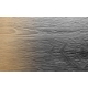 DĄB AMSTRONG /JAZZ/ 4+1mm